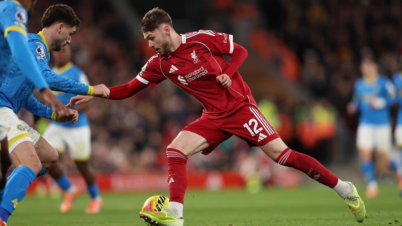 《幻想生活i》免费DLC预定圣诞期间发布 新情报公开