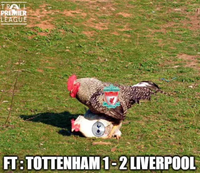 [NBA]英格拉姆19分 猛龙横扫老鹰